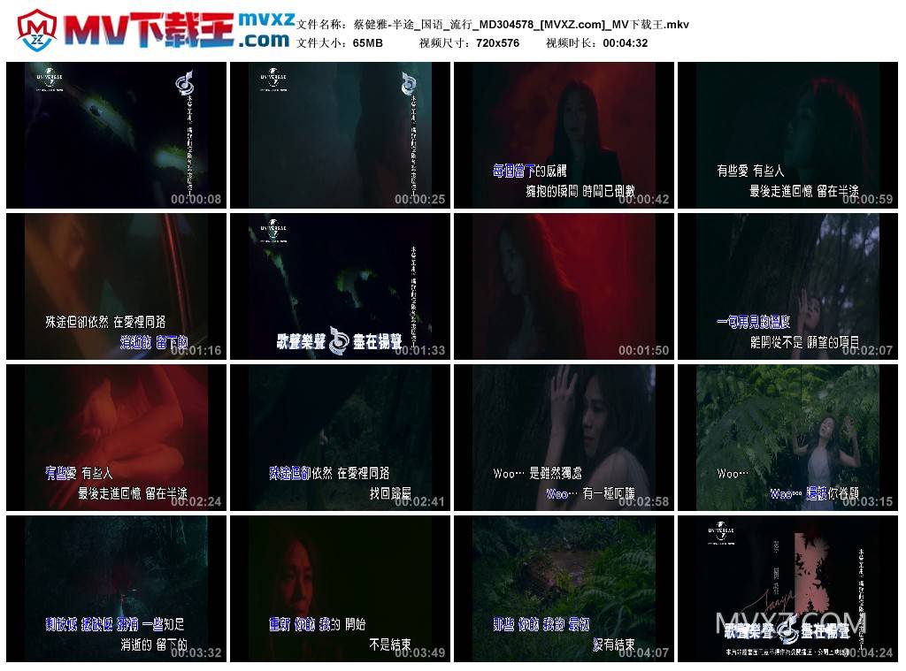 蔡健雅-半途_国语_流行_MD304578